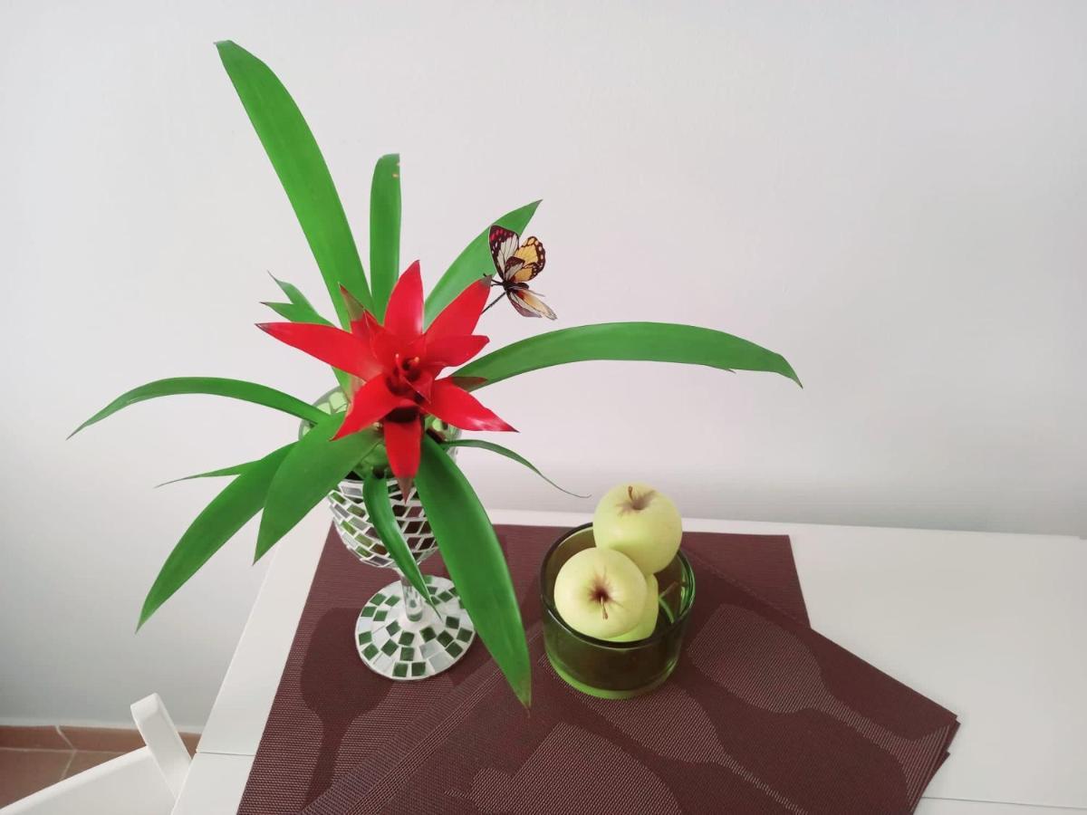 Appartement Casablanca à Sardina Extérieur photo